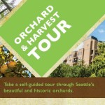 Orchard & Harvest Tour