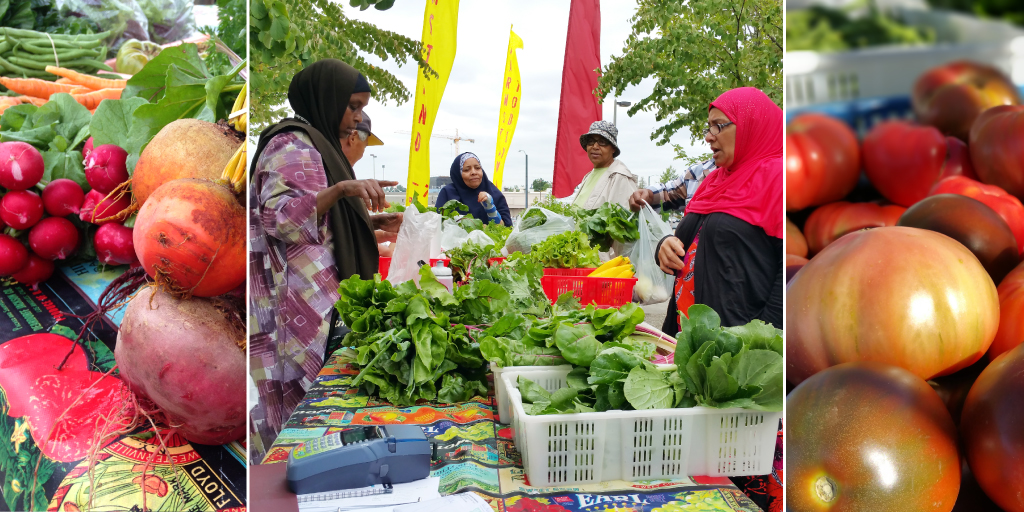 four people looking over a table of fresh produce