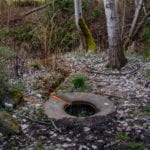 Licton Springs natural spring with stone ring.