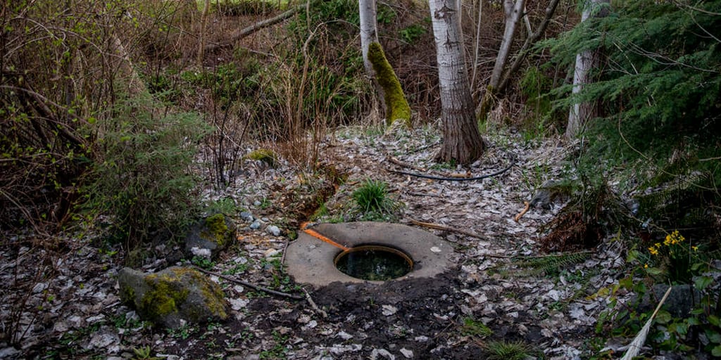 Licton Springs natural spring with stone ring.