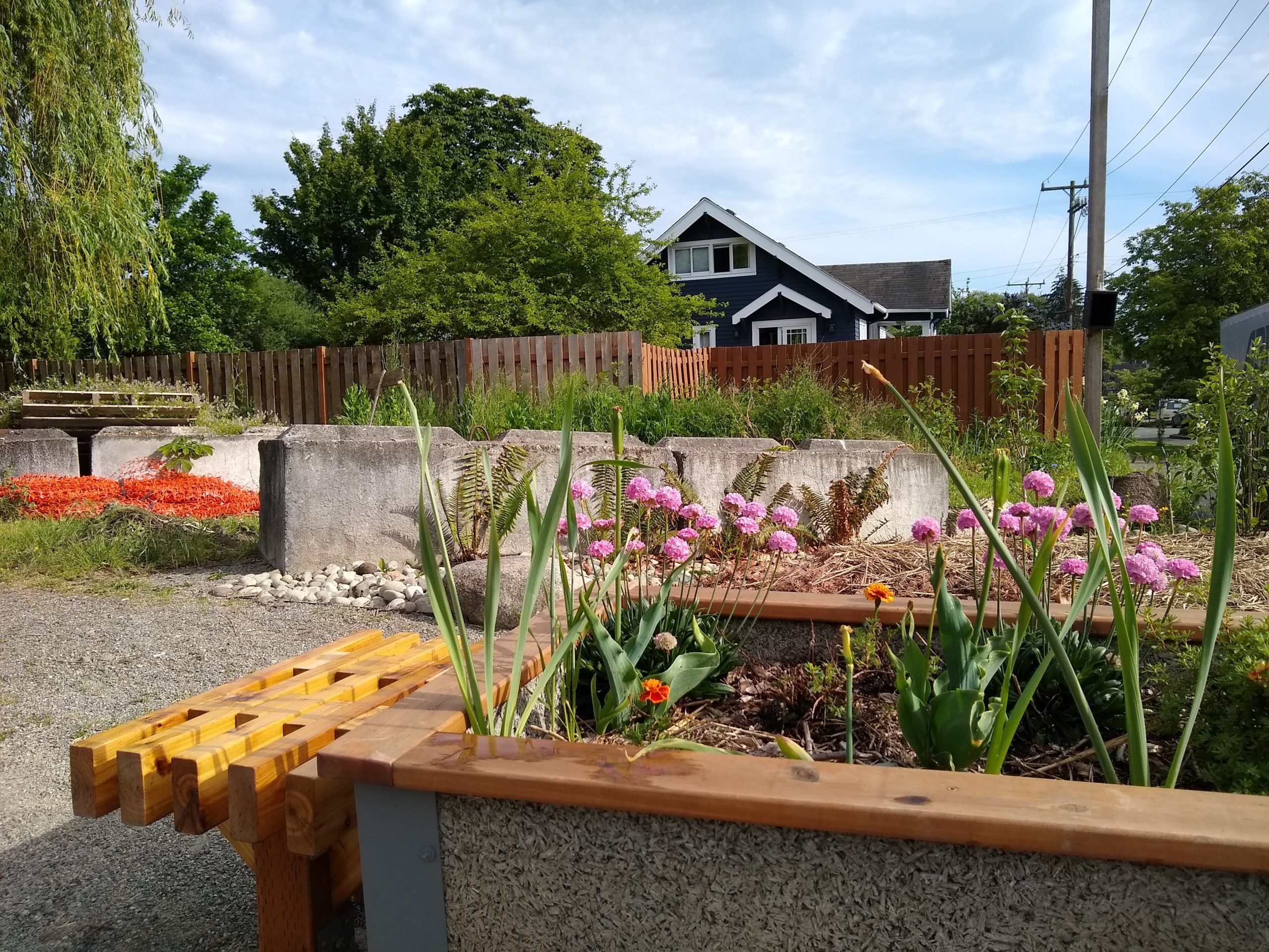 raised garden bed surrounded by bench for sitting