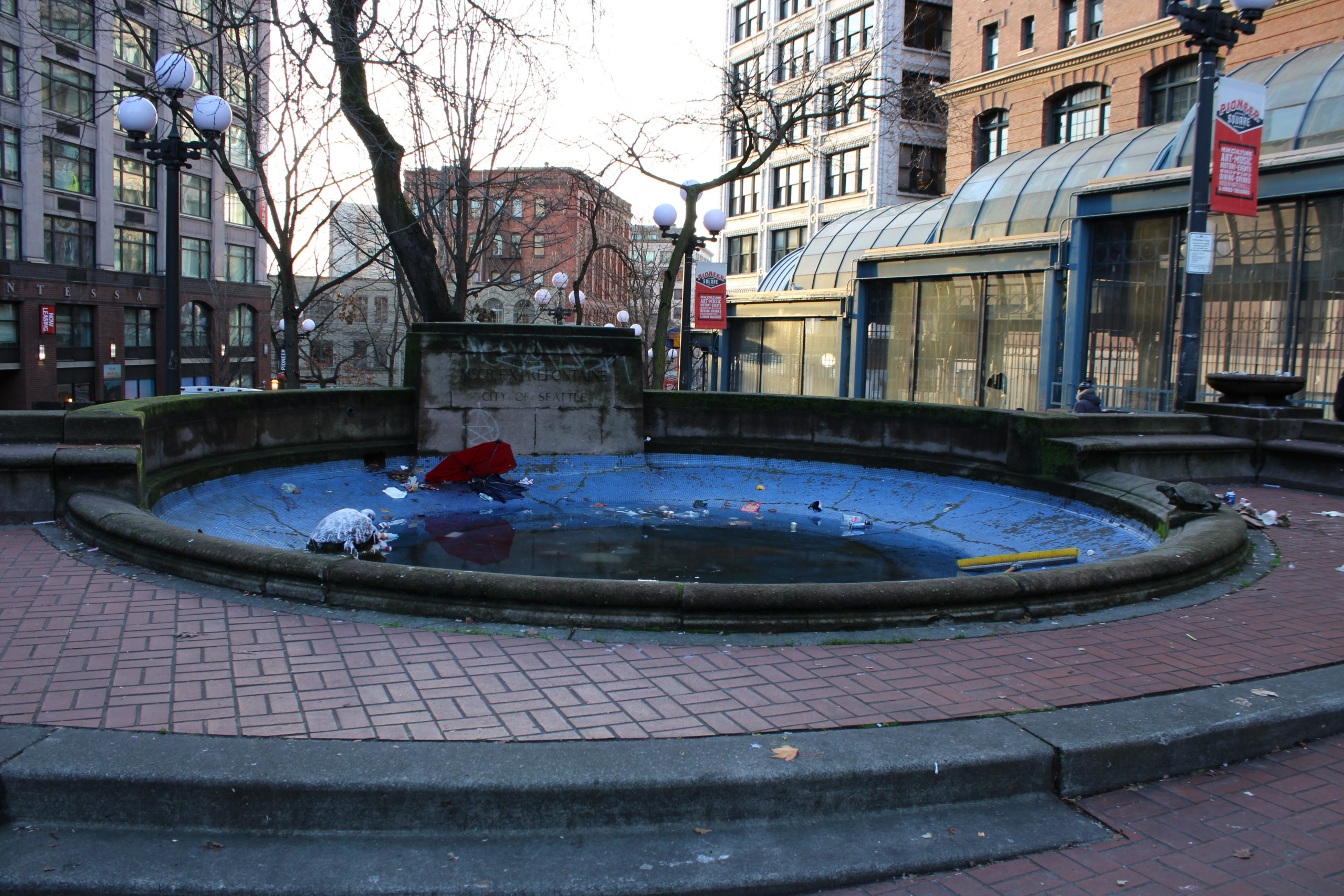 image of drained and dilapidated fountain, filled with rainwater and debris