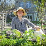 A community gardener waters her garden plot with a watering can.
