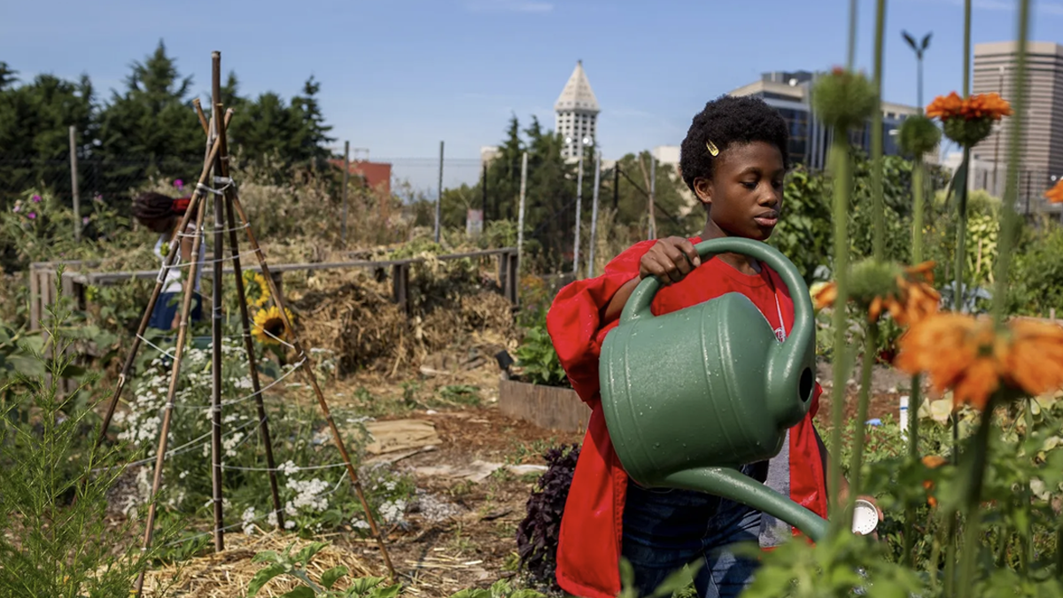 A Black teen waters plants in a garden with a view of the Seattle skyline in the background