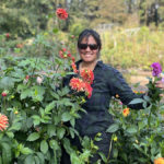 A young Indian woman smiling, standing in a garden bed of dahlias