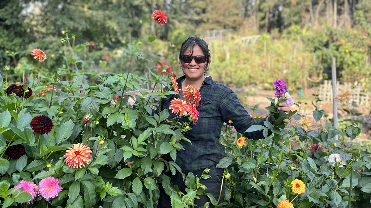 A young Indian woman smiling, standing in a garden bed of dahlias