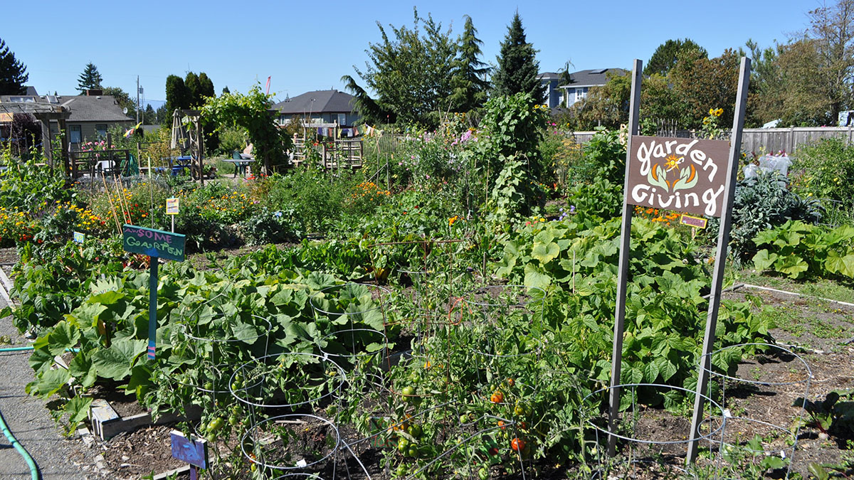 A P-Patch Community Garden with a tall sign with hand-painted text that says: 