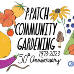 colorful hand drawn illustration of various vegetables and plants. text in the center reads "P-Patch Community Gardening, 1973-2023, 50th Anniversary"