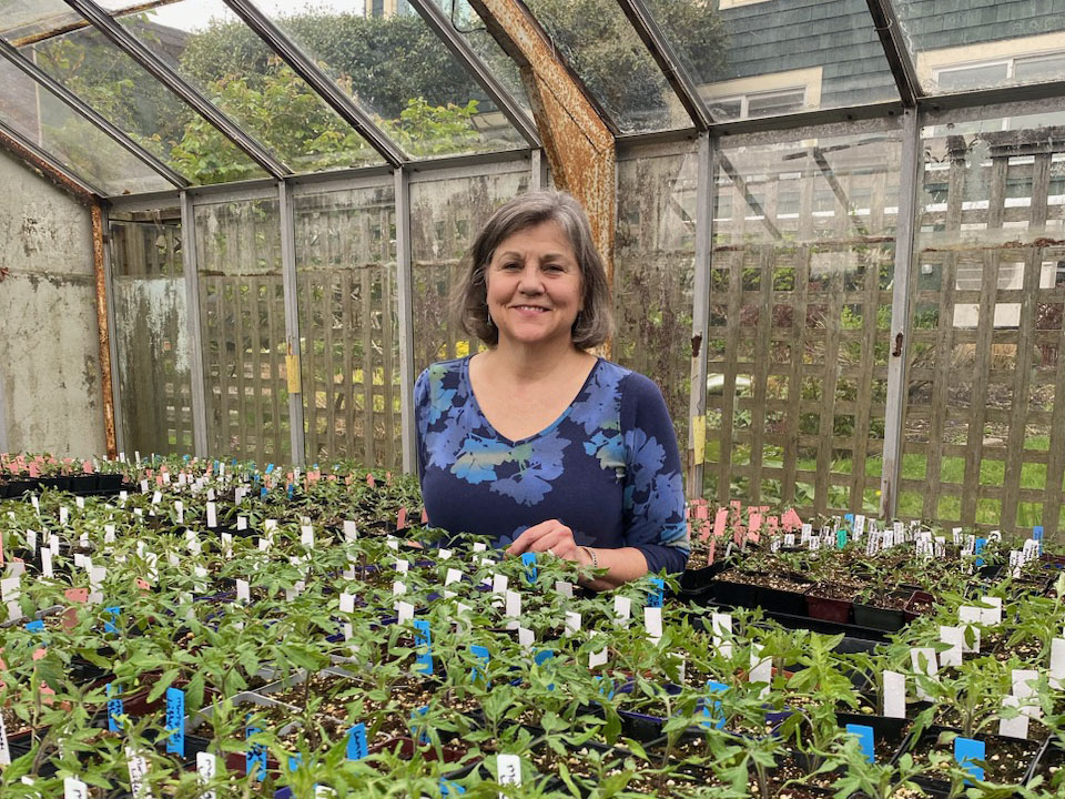 A woman with a purple floral shirt standing in a greenhouse full of small plant starts. 