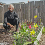 A Black man with gray hair, smiling and kneeling down in a garden bed next to tulips.