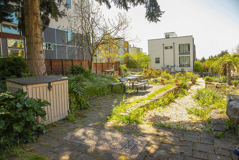 A city community garden with multi-unit apartment buildings along the perimeter. 