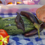 Close-up of a zucchini with googly eyes, a mustache and small eggplants as arms. A hand is fixing up the art piece.