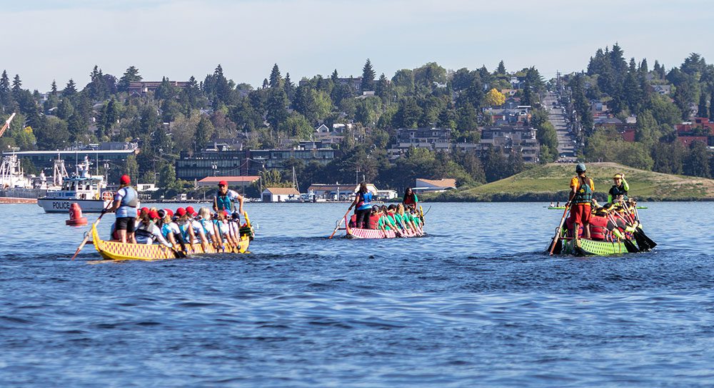 Groups of people rowing three flying dragon boats across water with trees and houses seen on the shore in the background