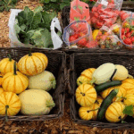 A collection of freshly harvested garden produce including wo brown wicker baskets with winter squash and one with bags of red tomatoes, and a plastic bag of grrens
