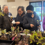A group of five people looking at plant starts set out on a table