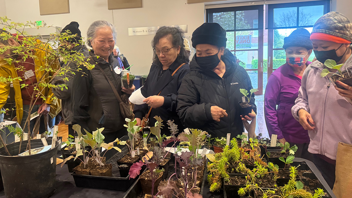 A group of five people looking at plant starts set out on a table