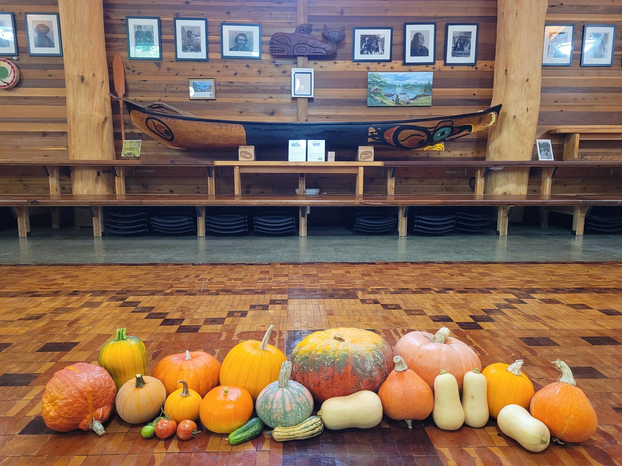 A line of orange and green gourds lined up with Native American photos and a canoe pictured in the background